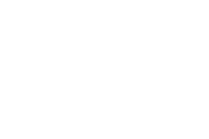 Hitachi