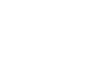 logo-2