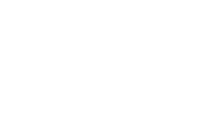 logo-3 (1)